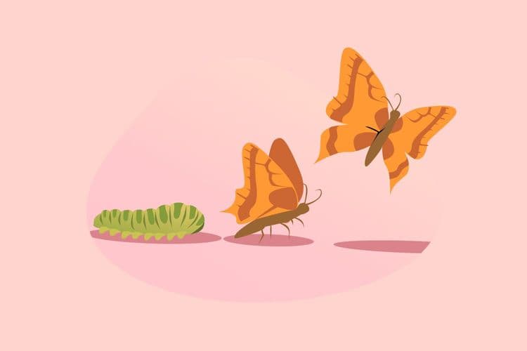 List of animals in English